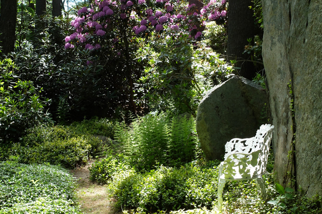 Digging Deeper: Beauty All Around You—Lush, Low-Maintenance Gardens at Any Scale - Members